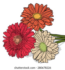 Bouquet of three colorful gerbers lying on a horizontal surface. Vector hand drawn illustration with shadow lying on horizontal. Can use for greeting card, wedding invitation, birthday, party