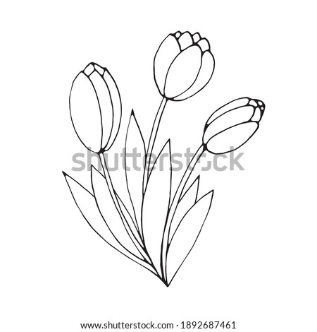 Similar – Image, Stock Photo three tulips Tulip blossom