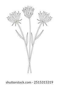 Ramo de tres flores con hojas. Manojo de plantas silvestres perennes en flor, flores silvestres. Arte lineal, estilo minimalista, contorno. Elementos botánicos dibujados a mano para proyectos de diseño. Ilustración vectorial