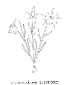 Bouquet of three flowers with leaves. Bunch of blooming perennial wildflowers. Line art, minimal style, contour plants. Botanical hand-drawn elements for design projects. Vector illustration