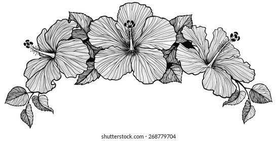 Bouquet of three hawaiian hibiscus flowers. Black and white graphic art, hand-drawn. Cool for frame header.