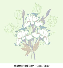 Bouquet  with three irises  and  tulips. Vector illustration