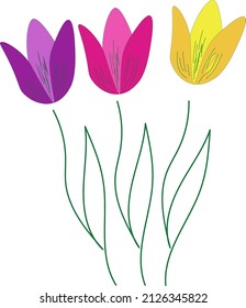 Bouquet aus drei mehrfarbigen Tulpen. einfache Zeichnung