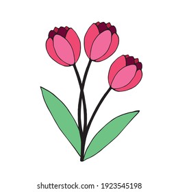 Bouquet of three red flowers of tulips. Vector hand drawn design element. Symbol of spring, love, flowering. Clip art for greeting card, wedding, birthday, mother's or women's or Valentine's Day