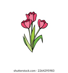 Bouquet of three red flowers of tulips. Vector hand drawn color design element, clip art. Simple black outline doodle. Symbol of spring, love, flowering. For greeting card, holidays