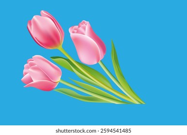 bouquet of three tulips vector illustration