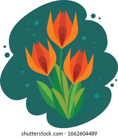 A bouquet of three tulips in a vector. Spring illustration, graphic flowers, Turkish tulips.