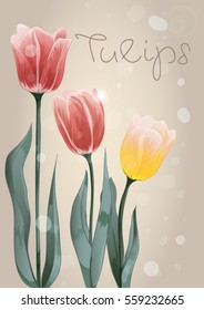 a bouquet of three tulips yellow red