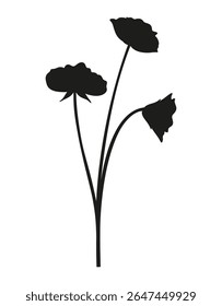 Buquê de três silhuetas de flores silvestres. Bunches de plantas selvagens perenes florescentes, estilo mínimo. Elementos botânicos desenhados à mão para projetos de design. Ilustração vetorial