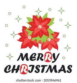 Bouquet of traditional Christmas poinsettia flower with green leaves and red petals. Cute winter poster, christmas card, banner, sticker