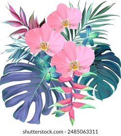 Bouquet of tropical flowers. Exotic, paradise flowers. Hawaiian bouquet