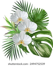 Bouquet of tropical flowers. Exotic, paradise flowers. Hawaiian bouquet