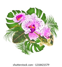 603,091 Purple tropical flower Images, Stock Photos & Vectors ...