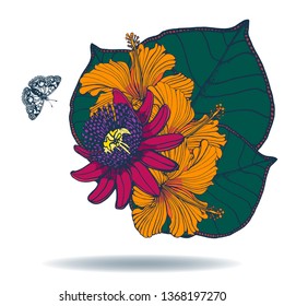 bouquet of tropical flowers ,hand drawing,beautiful, isolated on white background vector