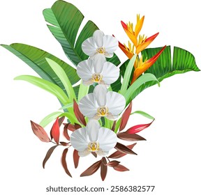 Bouquet of tropical flowers. Hibiscus, orchid, paradise flowers. exotic, tropical