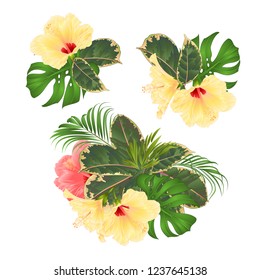 Bouquet with tropical flowers set floral arrangement with beautiful pink and yellow hibiscus palm,philodendron and ficus vintage vector illustration  editable hand draw 
