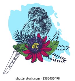 bouquet of tropical flowers,palm leaves ,flowers, parrot , hand drawing ,vector