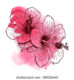 A bouquet of tropical Hibiscus flowers. Hand drawn sketch. Texture background watercolor effect. Vector illustration isolated on white background. A template for the design.