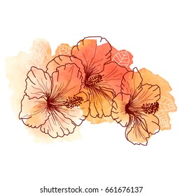 A bouquet of tropical Hibiscus flowers. Hand drawn sketch of hibiscus flowers. Texture background watercolor effect. Vector illustration isolated. A template for the design.