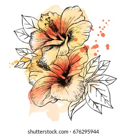 A bouquet of tropical Hibiscus flowers. Hand drawn sketch. Texture background watercolor effect. Vector illustration isolated on white background. A template for the design.