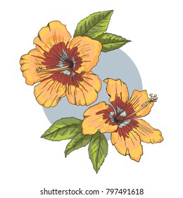 A bouquet of tropical Hibiscus flowers. Hand drawn sketch. Vector illustration isolated on white background. A template for the design.