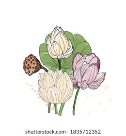 bouquet of tropical lotus flowers. Exotic water lilies, hand-drawn ink drawing.