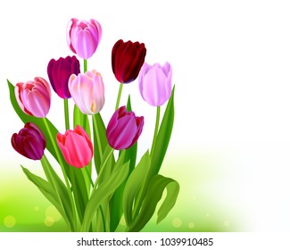 Bouquet Tulip spring banner