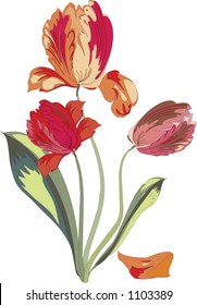 bouquet of tulips