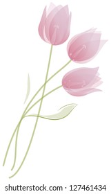 Bouquet of tulips