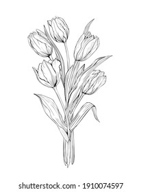 Bouquet of tulips art line black and white pattern isolated. Drawing of flowers for tattoos