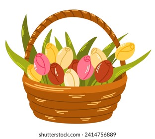 Bouquet of tulips in a basket. Spring flowers. Love concept. Element for spring, summer, seasonal design of postcards, fabrics, wallpaper, wrappers, packaging, textiles. Vector illustration