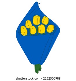 Bouquet of tulips in colors of Ukraine flag.