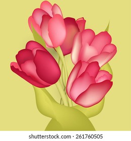 bouquet of tulips for congratulations