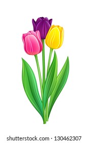 Bouquet of tulips - EPS10 vector illustration