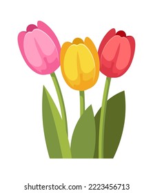 Bouquet of tulips Floral design element. Vector illustration