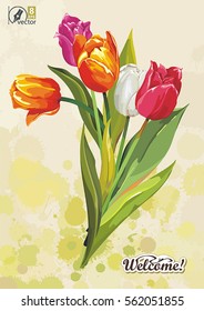 Bouquet of tulips for greeting card. Banner template with Vintage flowers. Spring floral postcard. Mother Day Concept
