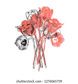 

Bouquet of tulips. Hand-drawn vector card of a sketch style.  Vintage floral illustration.
