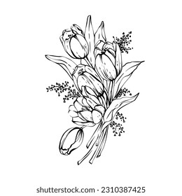 Bouquet of tulips and mimosa stylized linear graphics monochrome vintage