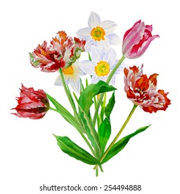 Bouquet of tulips and narcissus.Vector Illustration