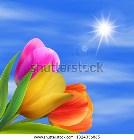 A bouquet of tulips on a background of blue sky. The sun shines. Bright spring background, vector illustration, EPS10.