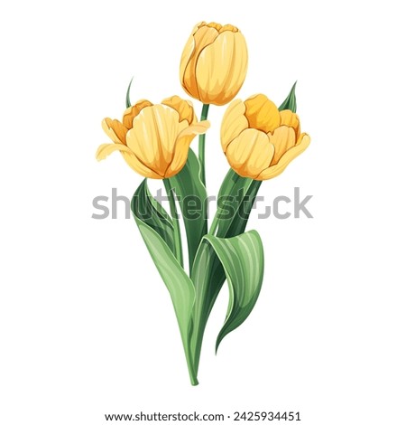 Bouquet of Tulips on an isolated background in cartoon style. Spring yellow flowers for Women's Day, Easter. Vector floral illustration.