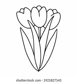 Bouquet with tulips painted in the style of doodle. The tulip is a contour line. Vector icon for the decoration of cards.