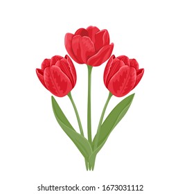 Bouquet of tulips. Three red spring flowers with green leaves and stems isolated on a white background. Vector holiday illustration in cartoon flat style.