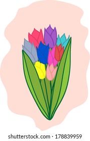 Bouquet of tulips vector
