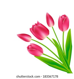 Bouquet of tulips. Vector illustration. 