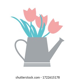 Bouquet of tulips in a watering can. Vector illustration of pink tulips. Watering pot. Vector flowers.