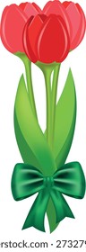Um buquê de tulipas sem fundo