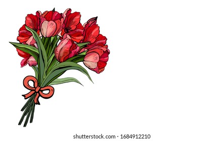 Bouquet of tulips.Spring bouquet set isolated, woman flowers gift.