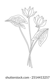 Ramo de dos flores de ciclamen con hojas. Manojo de plantas silvestres perennes en flor. Arte lineal, estilo minimalista, contorno. Elementos botánicos dibujados a mano para proyectos de diseño. Ilustración vectorial