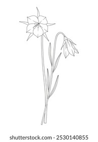 Ramo de dos flores y hojas. Manojo de flores silvestres perennes en flor. Arte lineal, estilo minimalista, plantas de contorno. Elementos botánicos dibujados a mano para proyectos de diseño. Ilustración vectorial